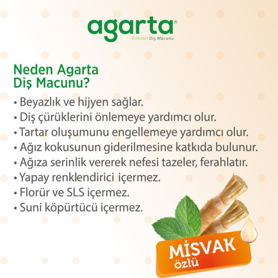 Agarta Doğal Misvak Özlü 100 ml Florürsüz Diş Macunu